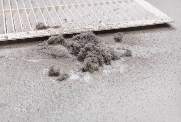Best Air Vent Cleaning Services  in River Rouge, MI