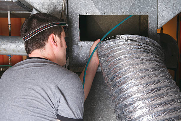 Best Dryer Vent Cleaning Services  in River Rouge, MI