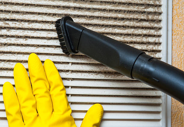 Best HVAC Maintenance and Cleaning  in River Rouge, MI